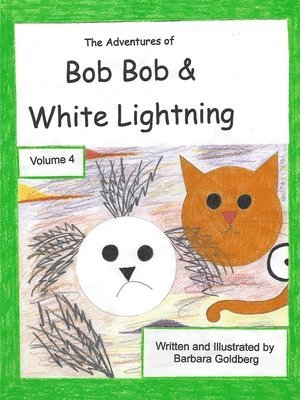 Barbara L Goldberg - Adventures of Bob Bob & White Lightning, Volume 4, Häftad