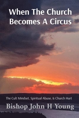 John H Young - When The Church Becomes A Circus, Häftad