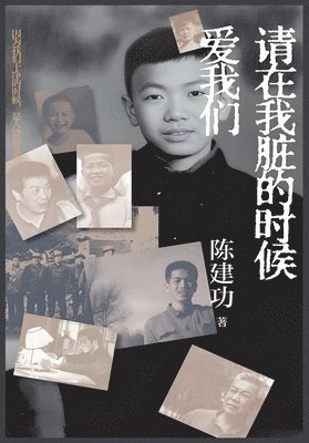 陈建功 - 请在我脏的时候爱我们, Häftad