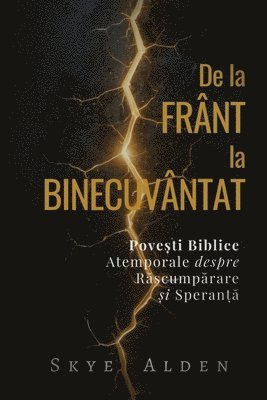 Skye Alden - De la Frânt la Binecuvântat, Häftad
