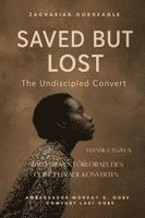 Ambassador Monday O Ogbe, Comfort Ladi Ogbe, Zacharias Godseagle, Ambassador Monday O. Ogbe, Comfort Ladi Ogbe - RÄLDAD MEN FÖRLORAD- DEN ODISCIPLerade KONVERTEN, Häftad
