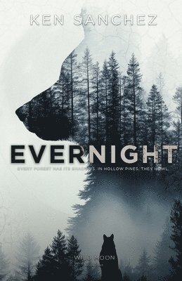 Ken Sanchez - Evernight, Häftad