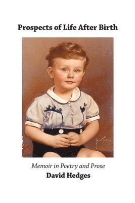 David Hedges - Prospects of Life After Birth: Memoir in Poetry and Prose: Memoir in Poetry and Prose, Häftad
