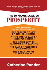 bokomslag Dynamic Laws Of Prosperity