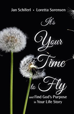 It's Your Time to Fly