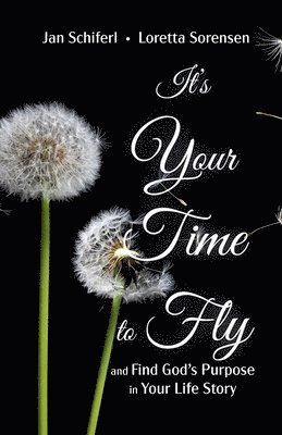 It's Your Time to Fly 1