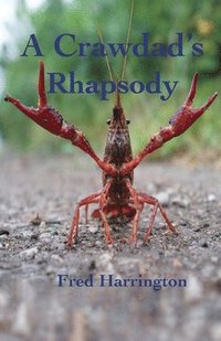 bokomslag A Crawdad's Rhapsody