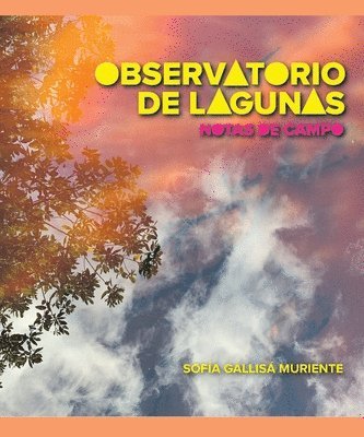 bokomslag Observatorio de lagunas