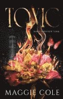 Toxic (Discreet Cover): First-love, second-chance dark mafia romance 1