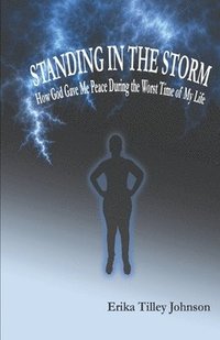 bokomslag Standing in the Storm