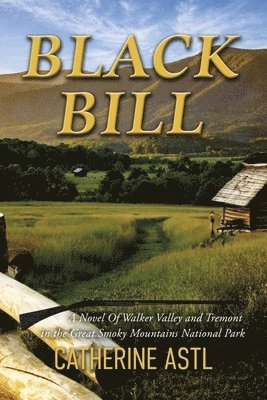 bokomslag Black Bill: A Novel of Walker Valley and Tremont in the Great Smoky Mountains National Park