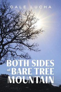 bokomslag Both Sides of Bare Tree Mountain