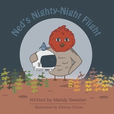Ned's Nighty-Night Flight 1