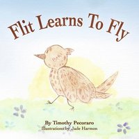bokomslag Flit Learns to Fly
