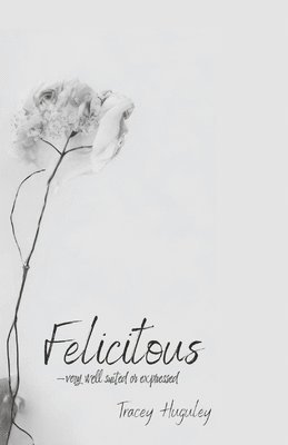 bokomslag Felicitous