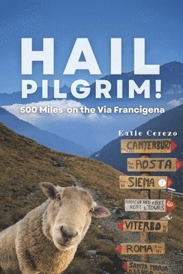 bokomslag Hail Pilgrim!: 500 Miles on the Via Francigena