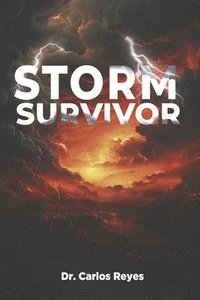 bokomslag Storm Survivor