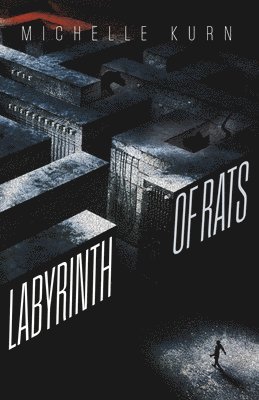 bokomslag Labyrinth of Rats