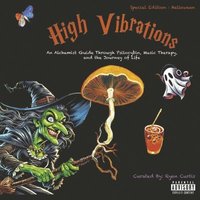 bokomslag High Vibrations: An Alchemist Guide Through Psilocybin, Music Therapy, and the Journey of Life