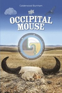 bokomslag The Occipital Mouse