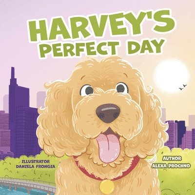 Harvey's Perfect Day 1