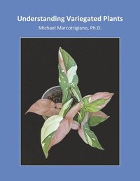 bokomslag Understanding Variegated Plants