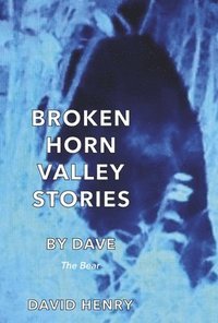 bokomslag Broken Horn Valley Stories by Dave