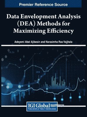 Adeyemi Abel Ajibesin, Narasimha Rao Vajjhala - Data Envelopment Analysis (DEA) Methods for Maximizing Efficiency, Inbunden