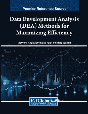 bokomslag Data Envelopment Analysis (DEA) Methods for Maximizing Efficiency