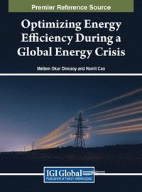 bokomslag Optimizing Energy Efficiency During a Global Energy Crisis