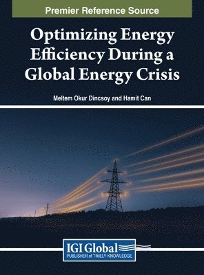 Meltem Okur Dinçsoy, Hamit Can, Meltem Okur Dinçsoy - Optimizing Energy Efficiency During a Global Energy Crisis, Inbunden