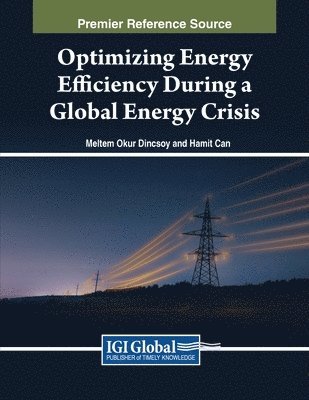 Meltem Okur Dinçsoy, Hamit Can - Optimizing Energy Efficiency During a Global Energy Crisis, Häftad