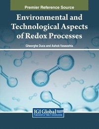 bokomslag Environmental and Technological Aspects of Redox Processes