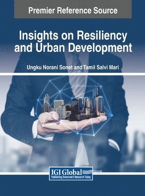 bokomslag Insights on Resiliency and Urban Development