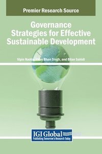 bokomslag Governance Strategies for Effective Sustainable Development