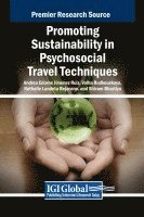 bokomslag Promoting Sustainability in Psychosocial Travel Techniques