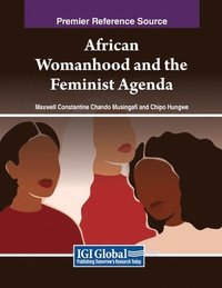 bokomslag African Womanhood and the Feminist Agenda