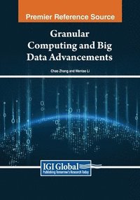 bokomslag Granular Computing and Big Data Advancements