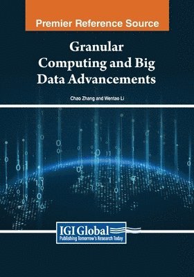 Chao Zhang, Wentao Li - Granular Computing and Big Data Advancements, Häftad