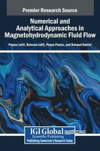 bokomslag Numerical and Analytical Approaches in Magnetohydrodynamic Fluid Flow