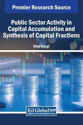 bokomslag Public Sector Activity in Capital Accumulation and Synthesis of Capital Fractions