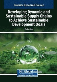 bokomslag Developing Dynamic and Sustainable Supply Chains to Achieve Sustainable Development Goals