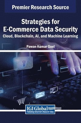 Strategies for E-Commerce Data Security