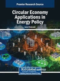 bokomslag Circular Economy Applications in Energy Policy