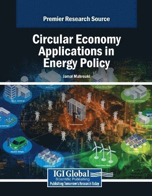 bokomslag Circular Economy Applications in Energy Policy