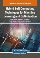 bokomslag Hybrid Soft Computing Techniques for Machine Learning and Optimization