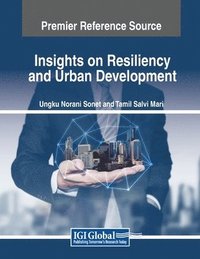 bokomslag Insights on Resiliency and Urban Development