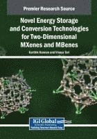 Karthik Kannan, Vinaya Tari - Novel Energy Storage and Conversion Technologies for Two-Dimensional MXenes and MBenes, Häftad