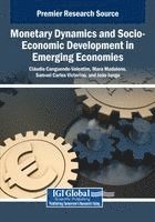 bokomslag Monetary Dynamics and Socio-Economic Development in Emerging Economies