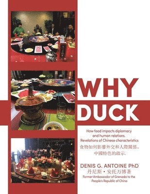 Why Duck 1
